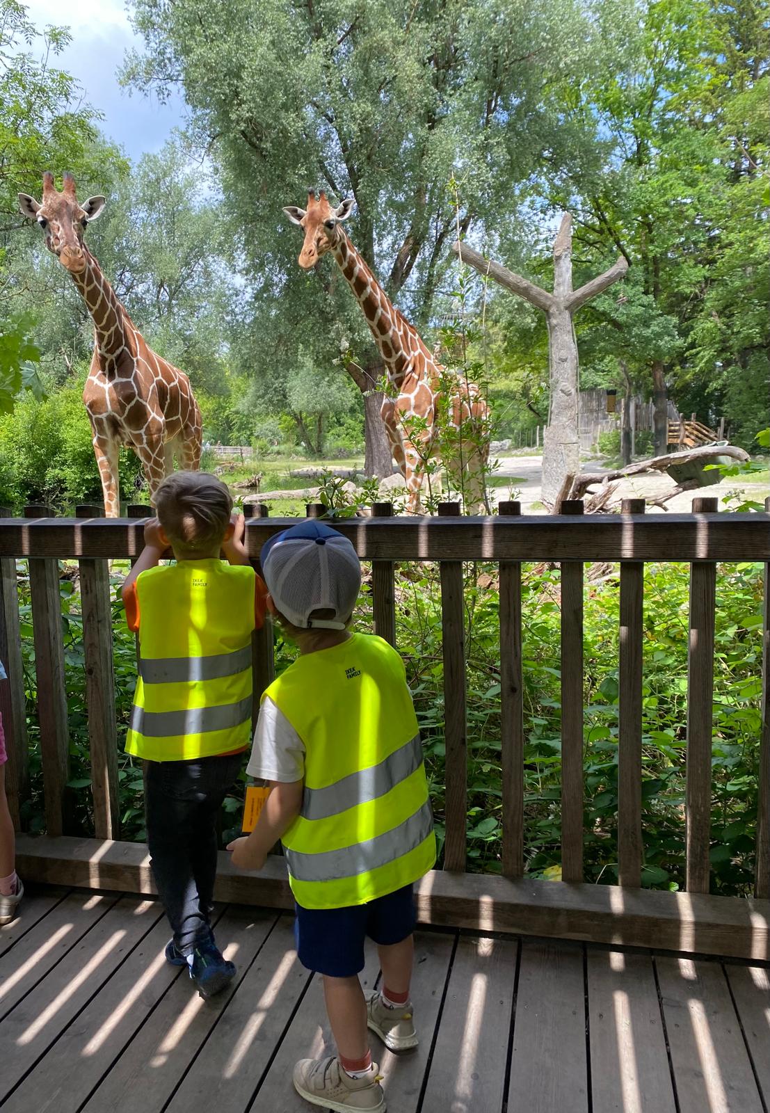 Zoobesuch